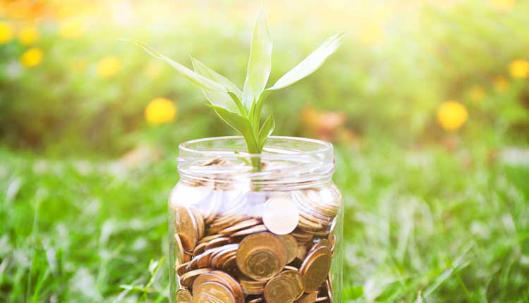 pennies in a jar with a green shoot growing from the top