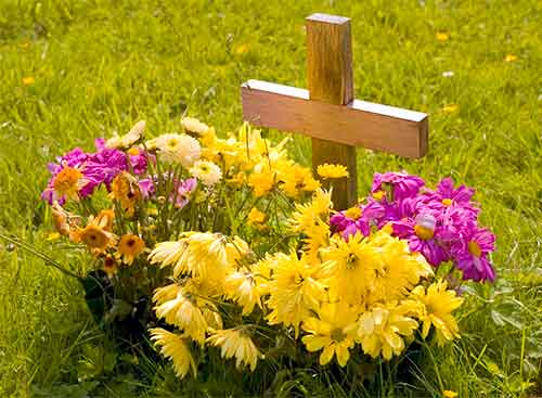 burial plot in a garden marked by a cross