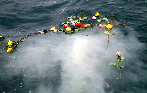 scattered flowers for a burial at sea