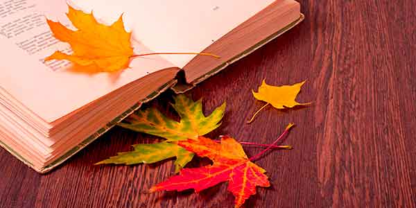 Fallen leaves on top of poem book