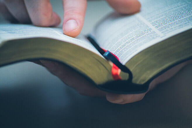 Person reading a bible